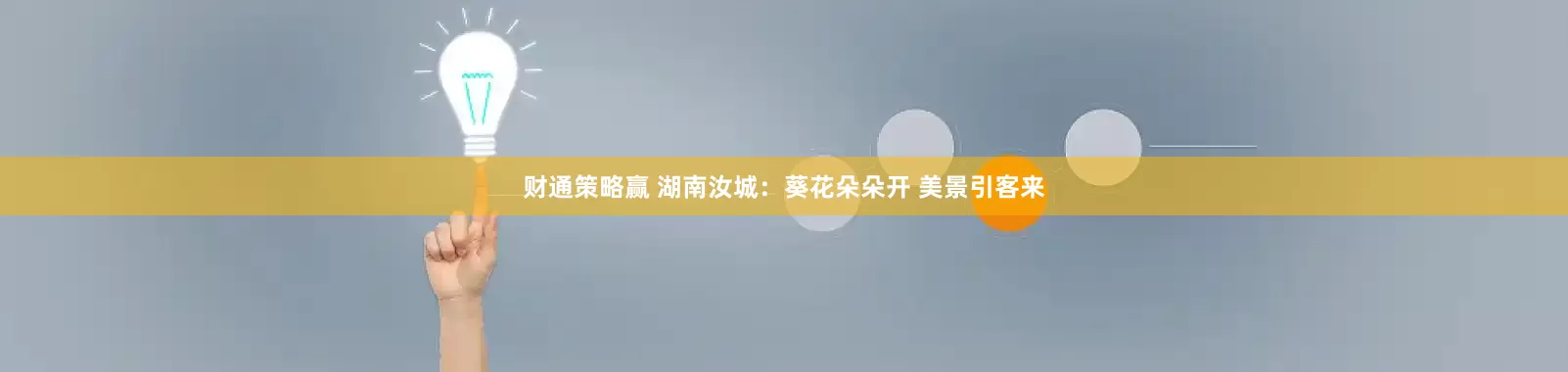 财通策略赢 湖南汝城：葵花朵朵开 美景引客来