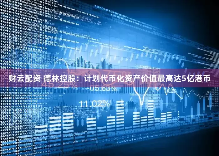 财云配资 德林控股：计划代币化资产价值最高达5亿港币
