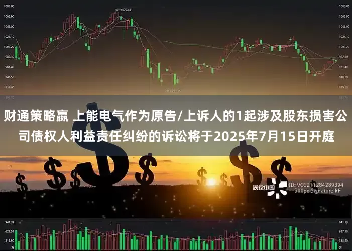 财通策略嬴 上能电气作为原告/上诉人的1起涉及股东损害公司债权人利益责任纠纷的诉讼将于2025年7月15日开庭