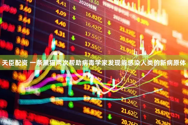 天臣配资 一条黑猫两次帮助病毒学家发现能感染人类的新病原体