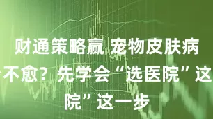 财通策略赢 宠物皮肤病久治不愈？先学会“选医院”这一步
